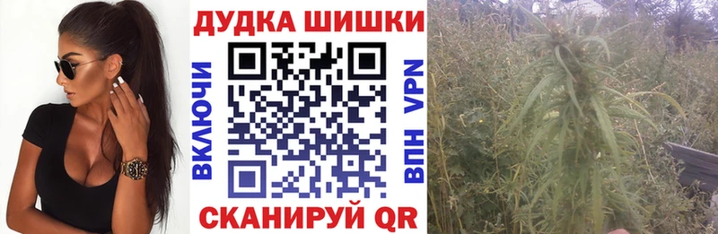 закладки  Нерчинск  Каннабис планчик 